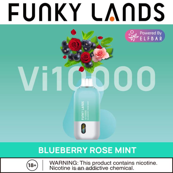 ELFBAR Funky Lands Disposable Vape Vi10000 Puffs Blueberry Rose Mint 8D8V163